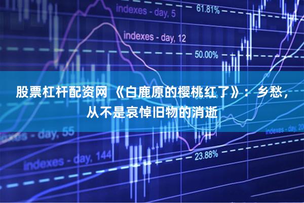 股票杠杆配资网 《白鹿原的樱桃红了》：乡愁，从不是哀悼旧物的消逝