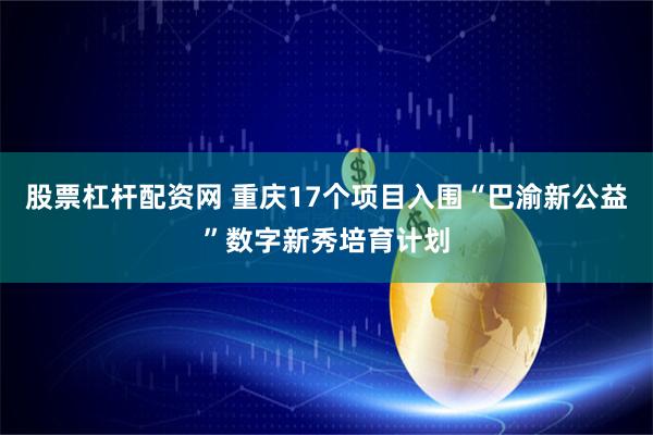 股票杠杆配资网 重庆17个项目入围“巴渝新公益”数字新秀培育计划