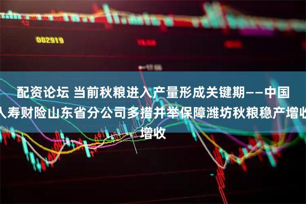 配资论坛 当前秋粮进入产量形成关键期——中国人寿财险山东省分公司多措并举保障潍坊秋粮稳产增收